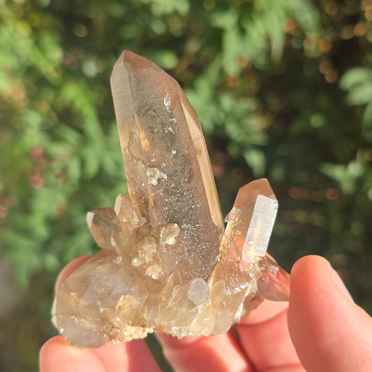 Natural smoky quartz South Africa