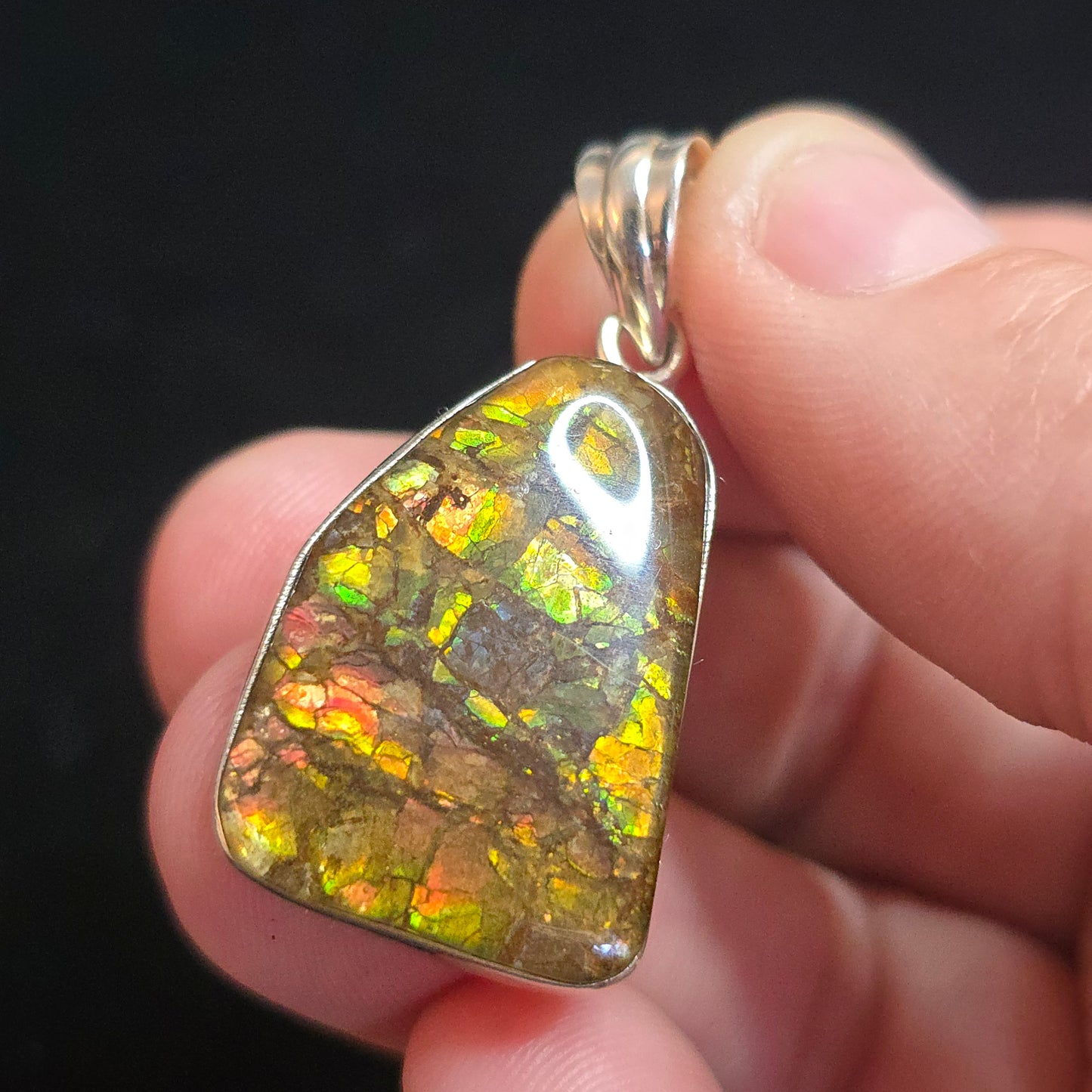 Ammolite pendant
