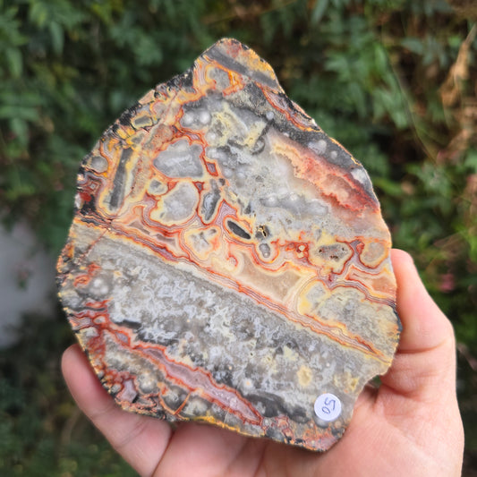 Crazy Lace Agate Australia