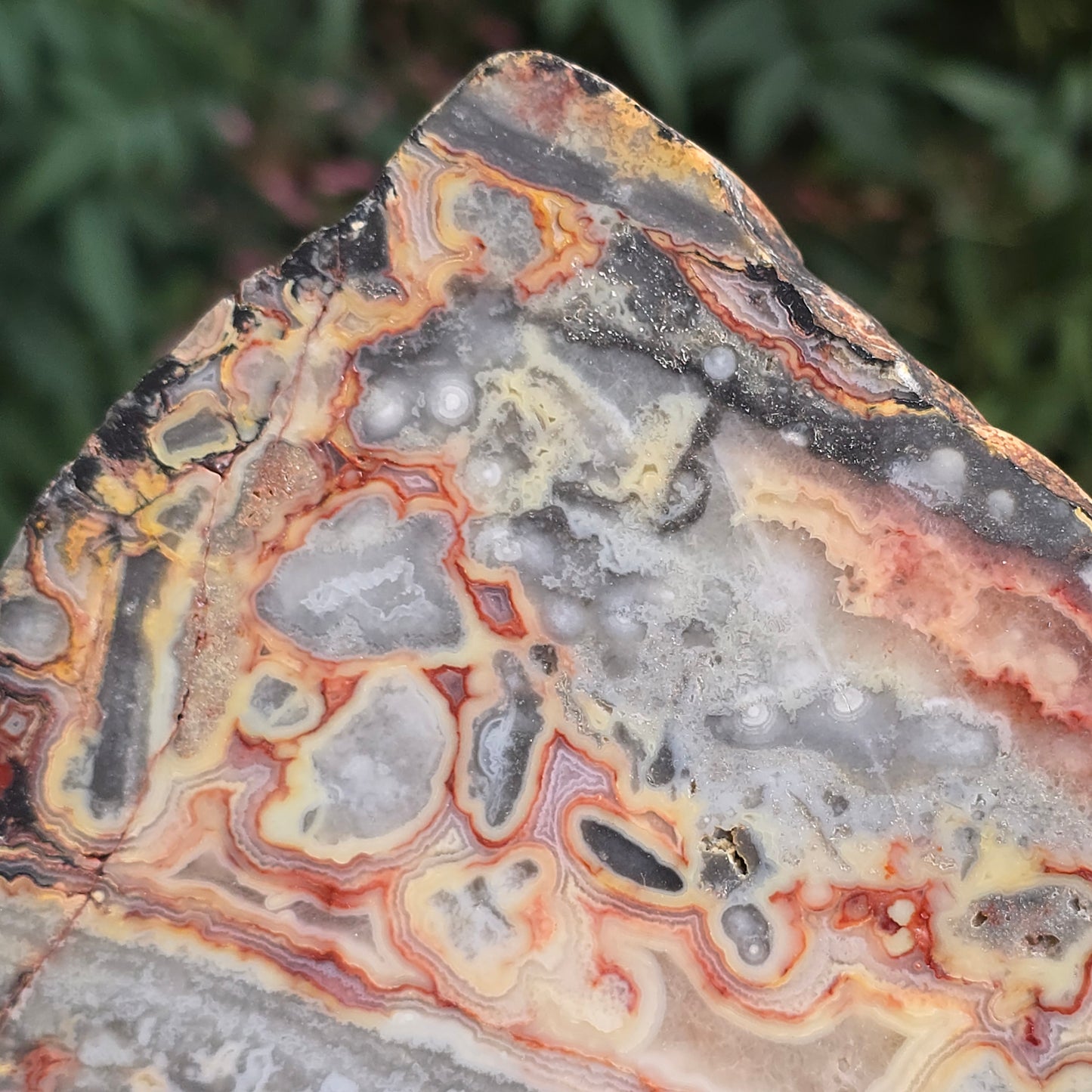 Crazy Lace Agate Australia