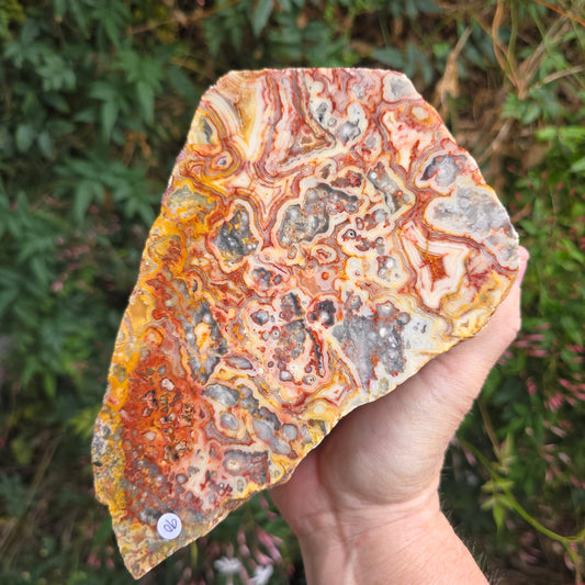 Crazy lace agate Australia