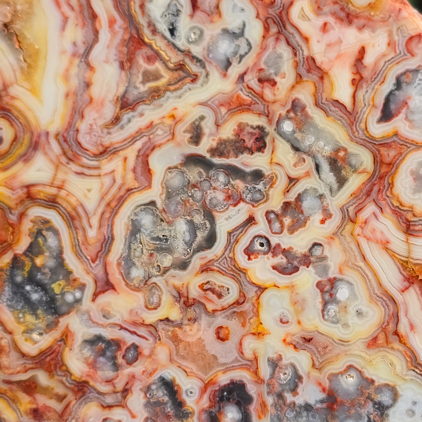 Crazy lace agate Australia