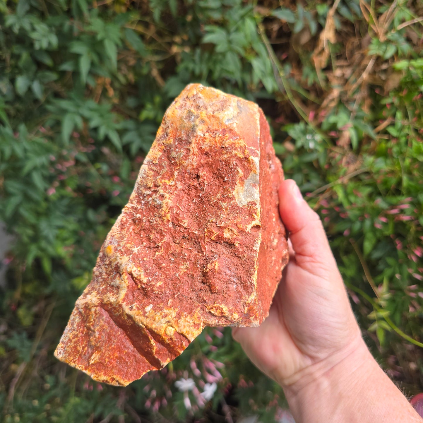 Crazy lace agate Australia