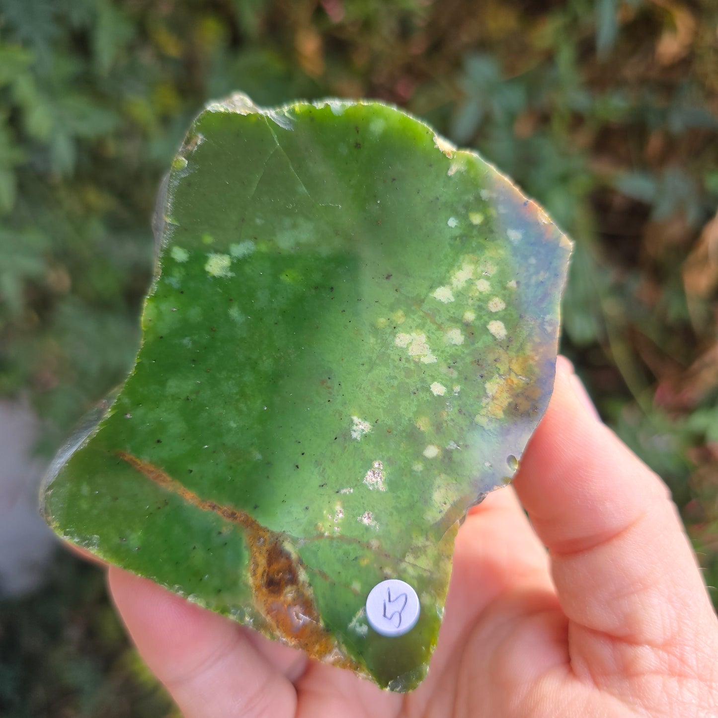 Chrome Chalcedony Australia