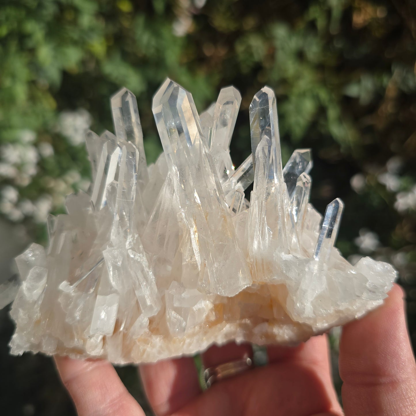 Colombian Lemurian Quartz