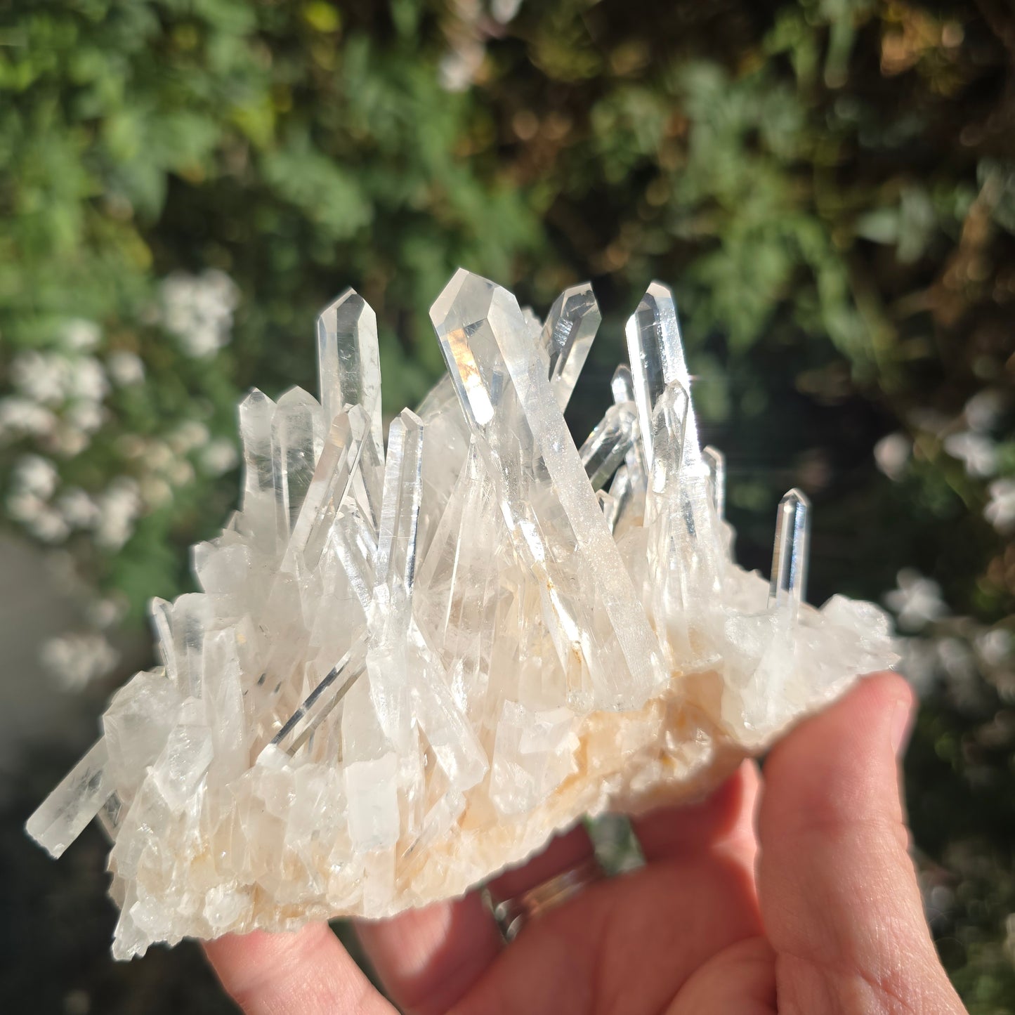 Colombian Lemurian Quartz