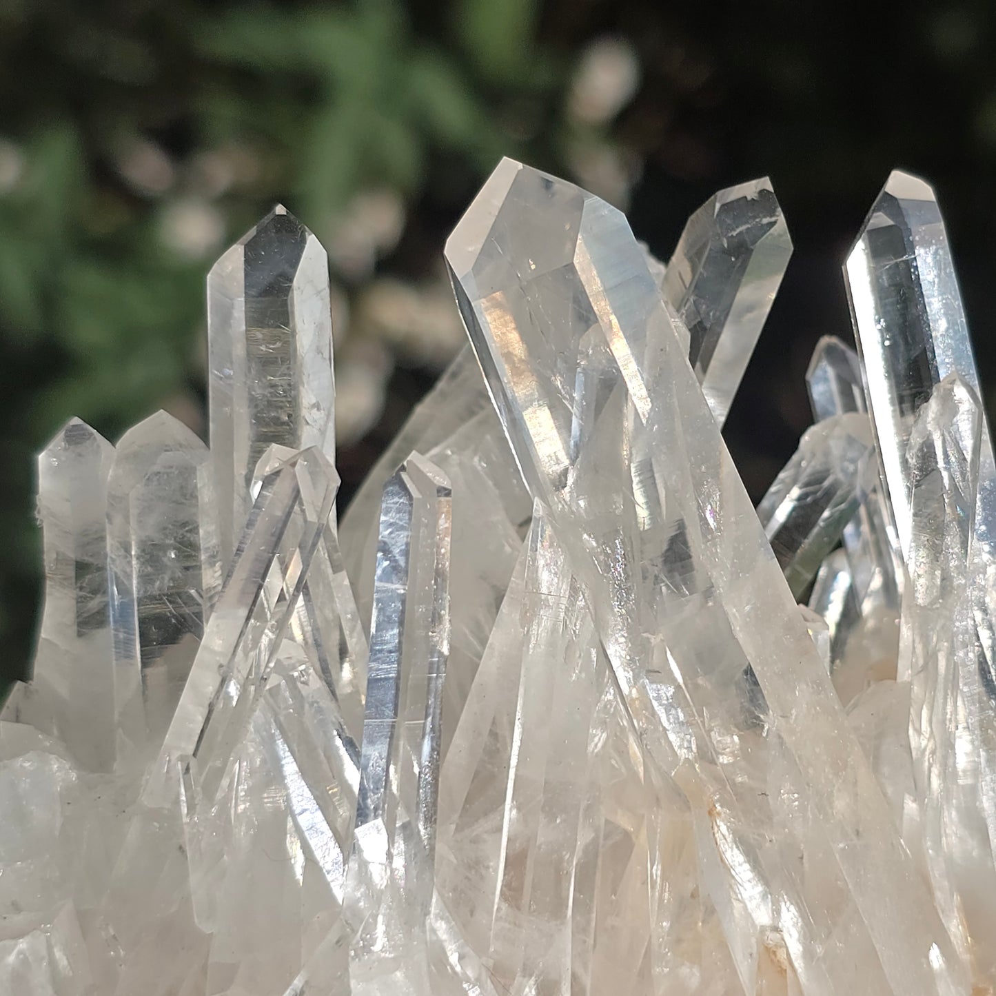 Colombian Lemurian Quartz
