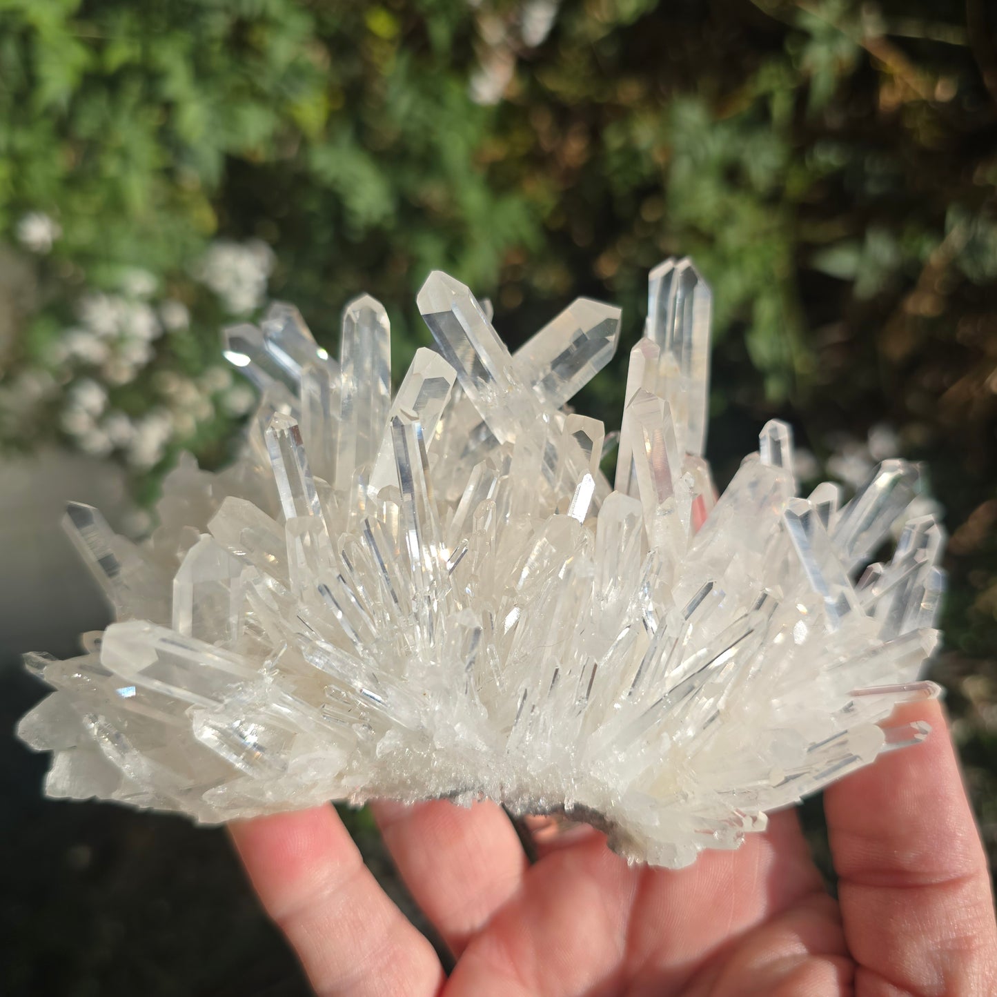 Colombian Lemurian Quartz
