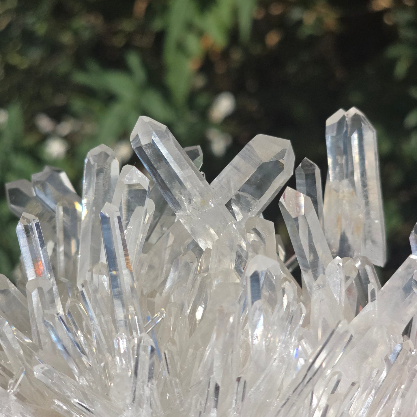 Colombian Lemurian Quartz