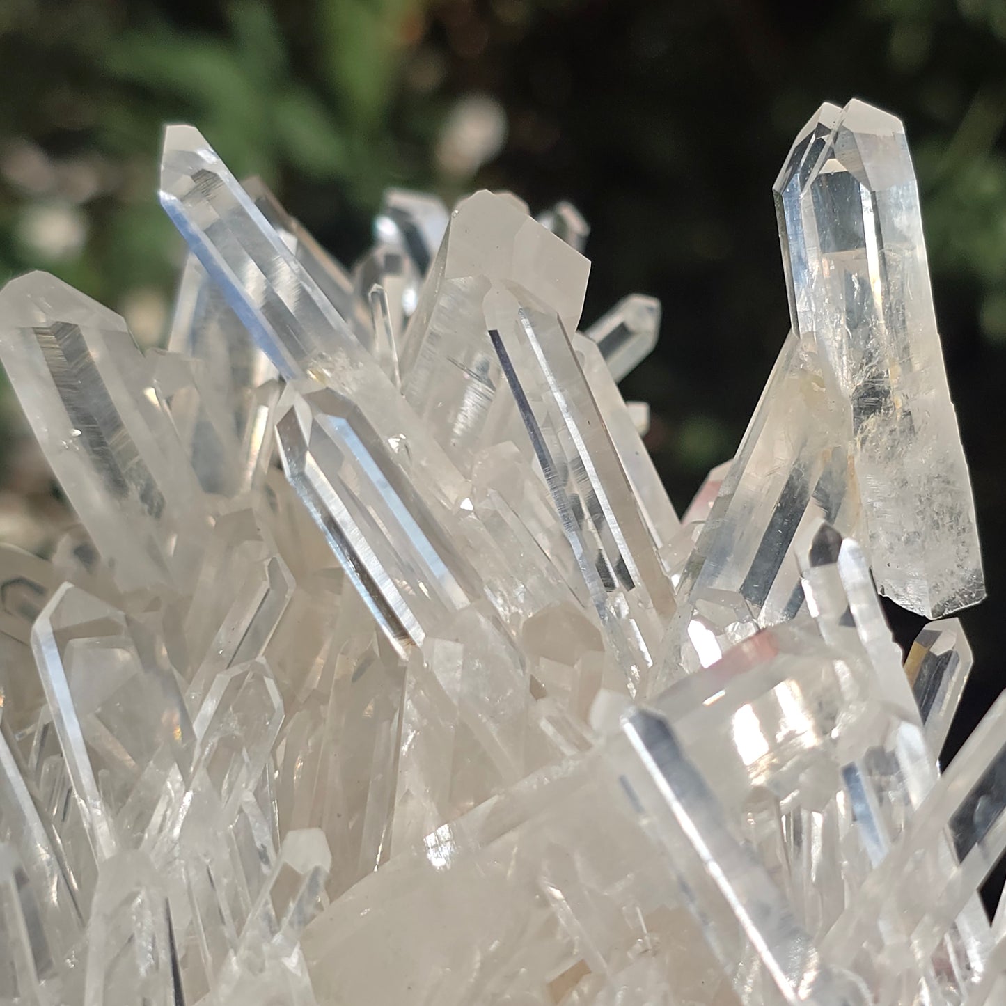 Colombian Lemurian Quartz