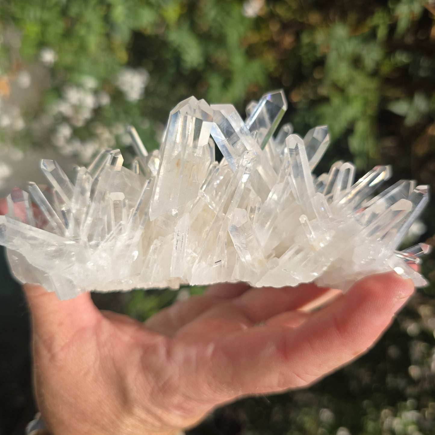 Colombian Lemurian Quartz