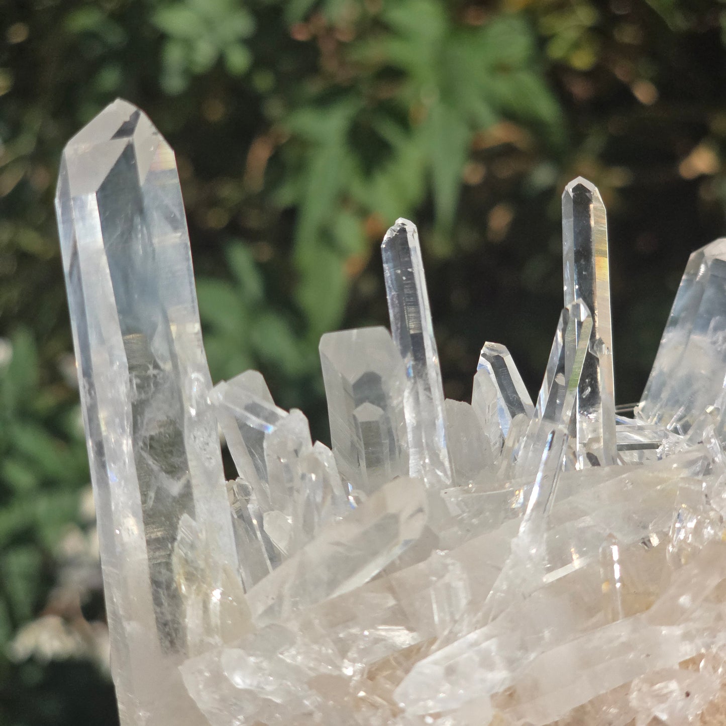 Colombian Lemurian Quartz