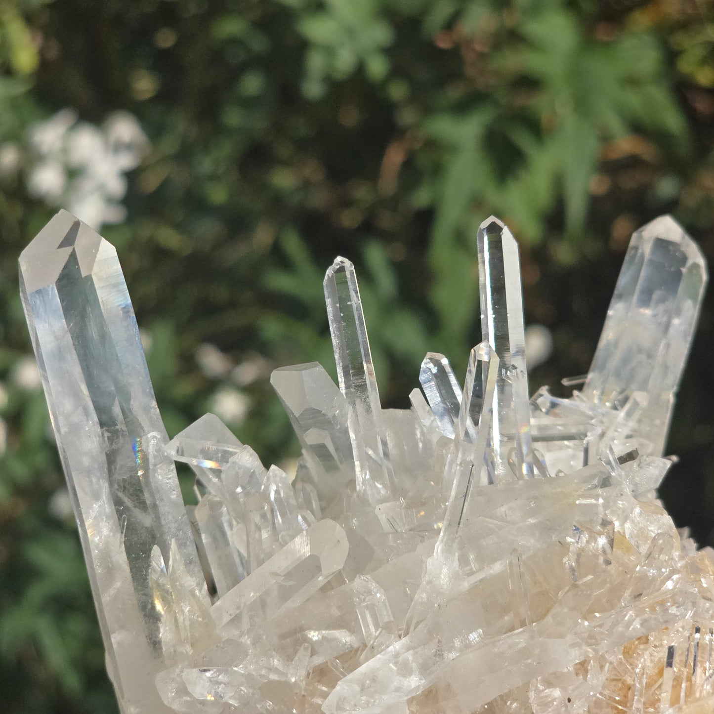 Colombian Lemurian Quartz