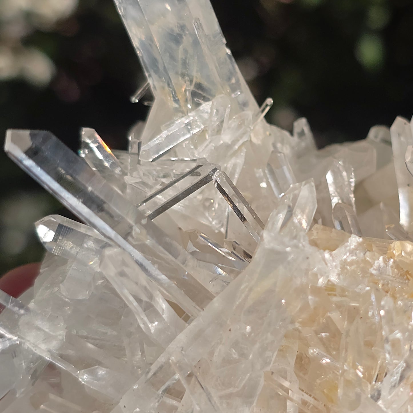 Colombian Lemurian Quartz