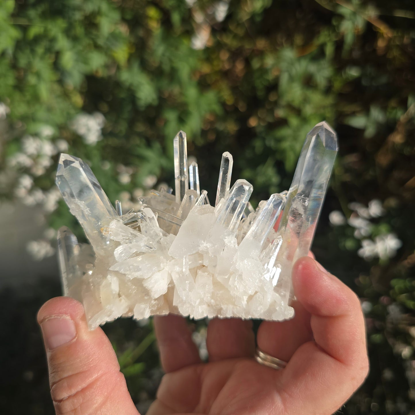 Colombian Lemurian Quartz