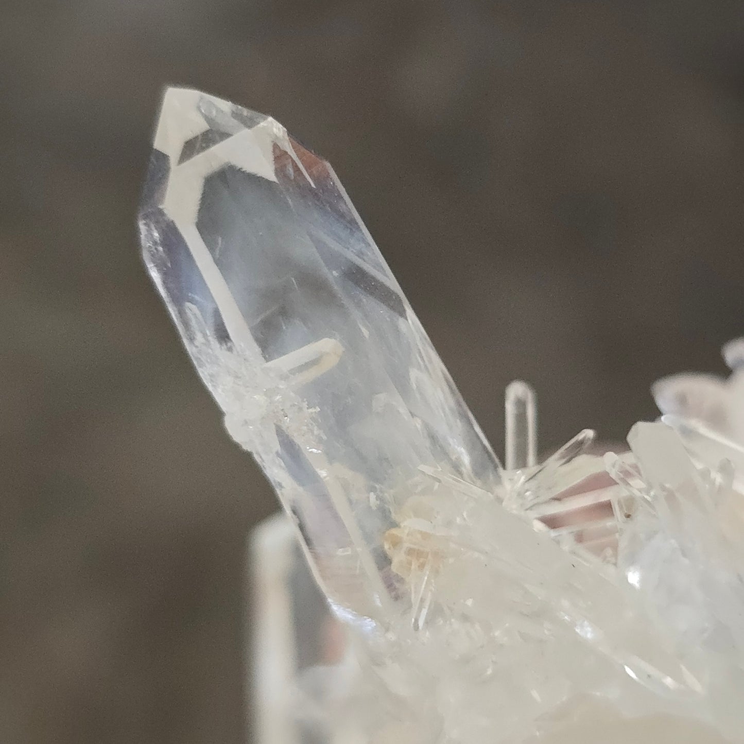 Colombian Lemurian Quartz