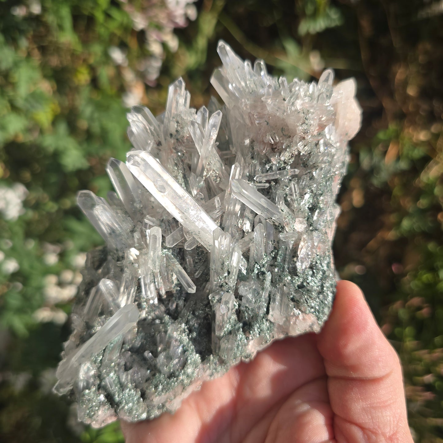 Colombian Lemurian Quartz w Fuchsite