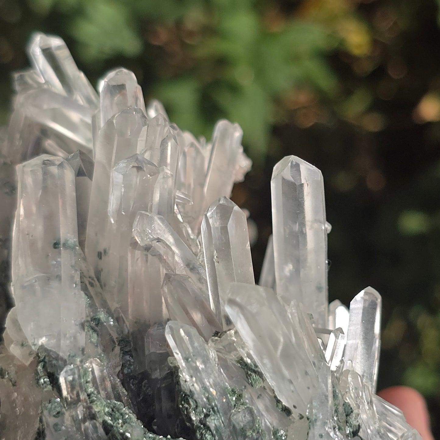 Colombian Lemurian Quartz w Fuchsite
