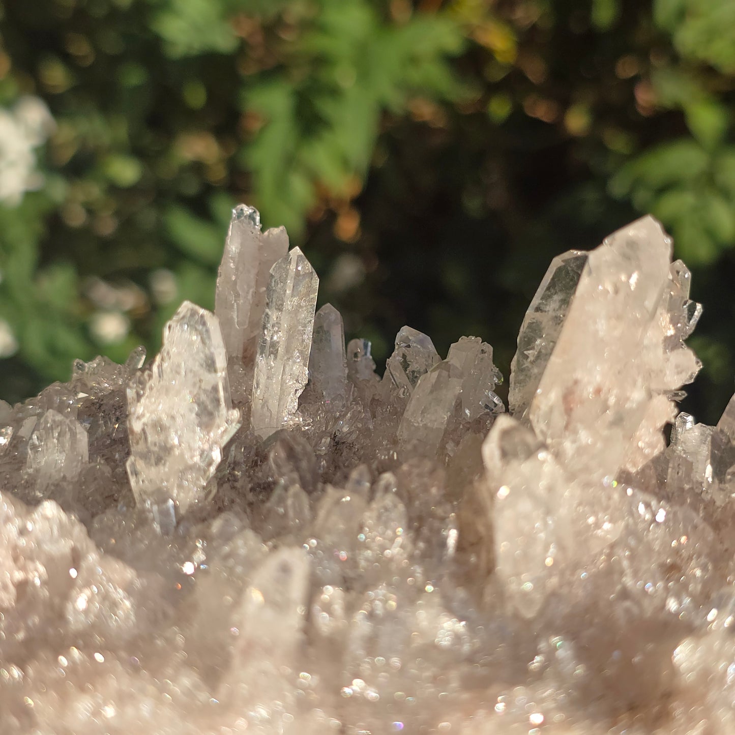 Colombian Pink Lemurian Quartz