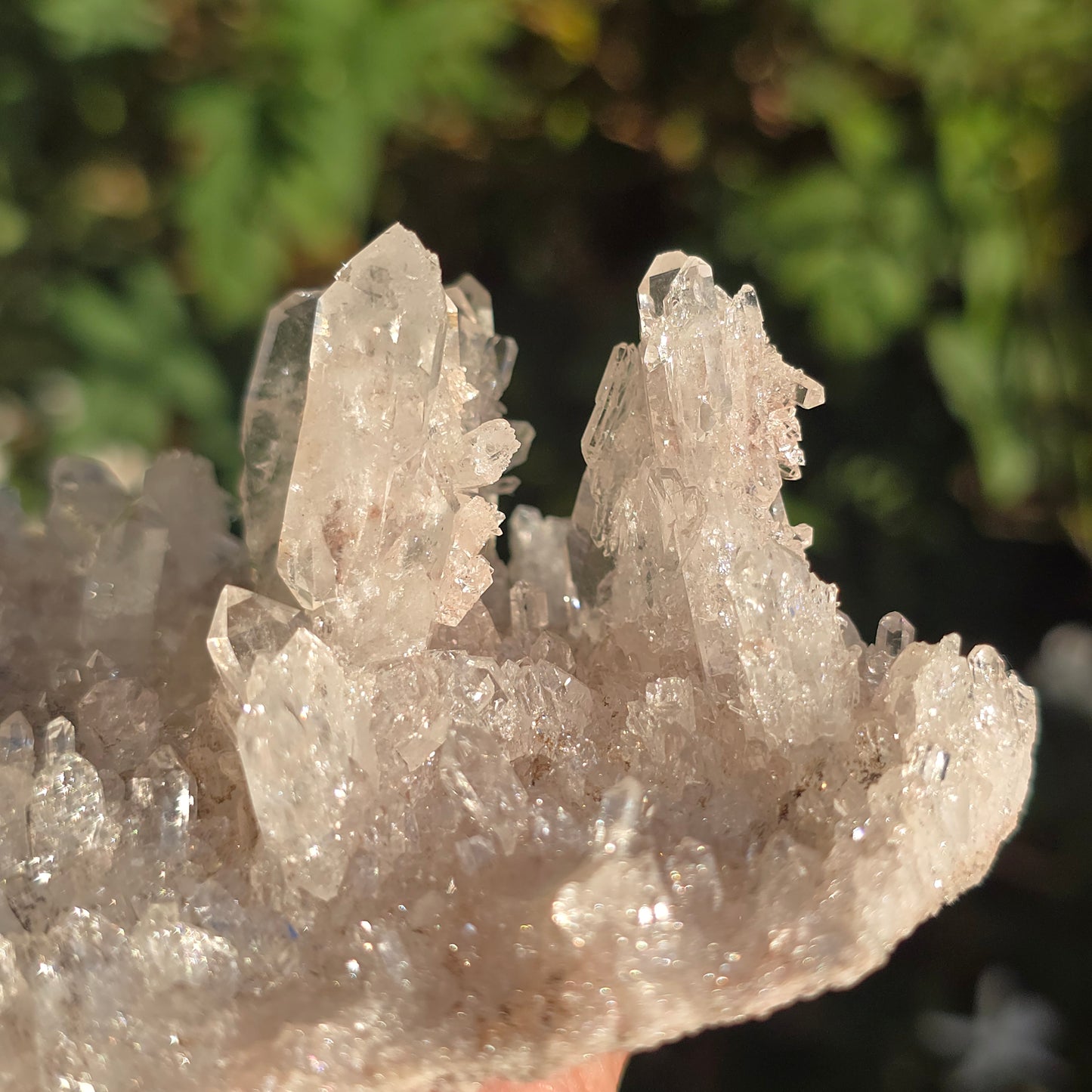 Colombian Pink Lemurian Quartz