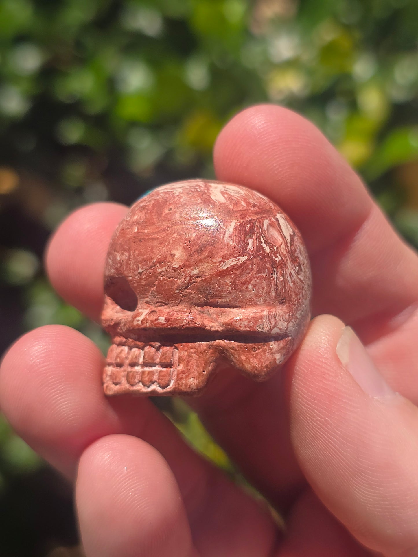 Fire Opal Skull Mexico