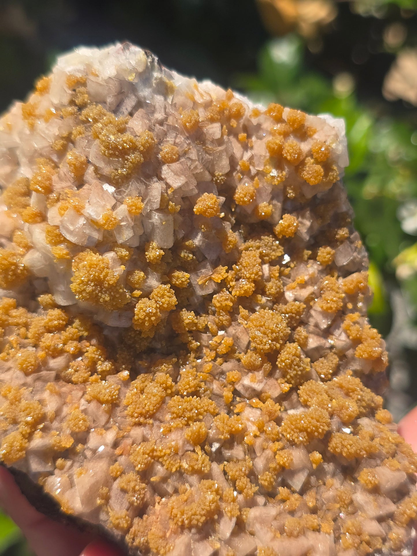 Mimetite w calcite Mexico