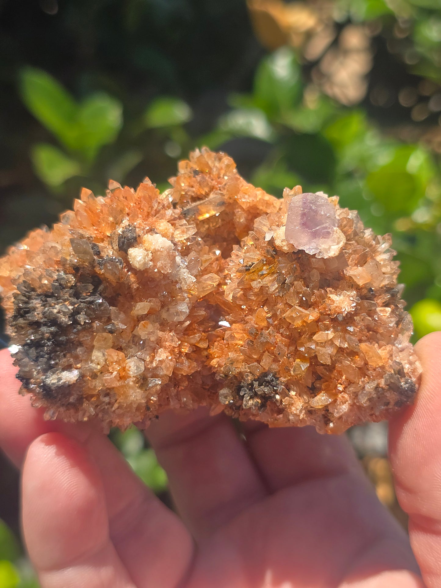 Creedite Durango Mexico