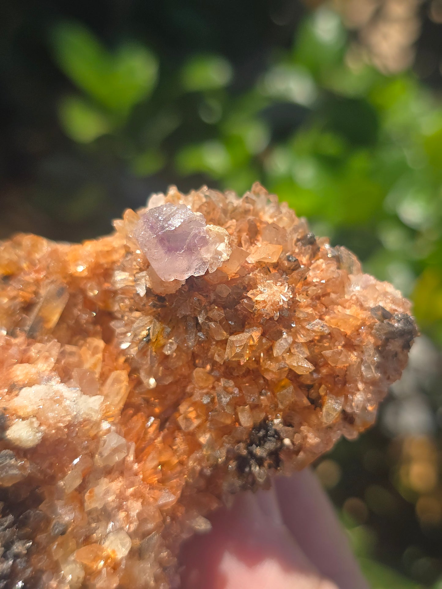 Creedite Durango Mexico