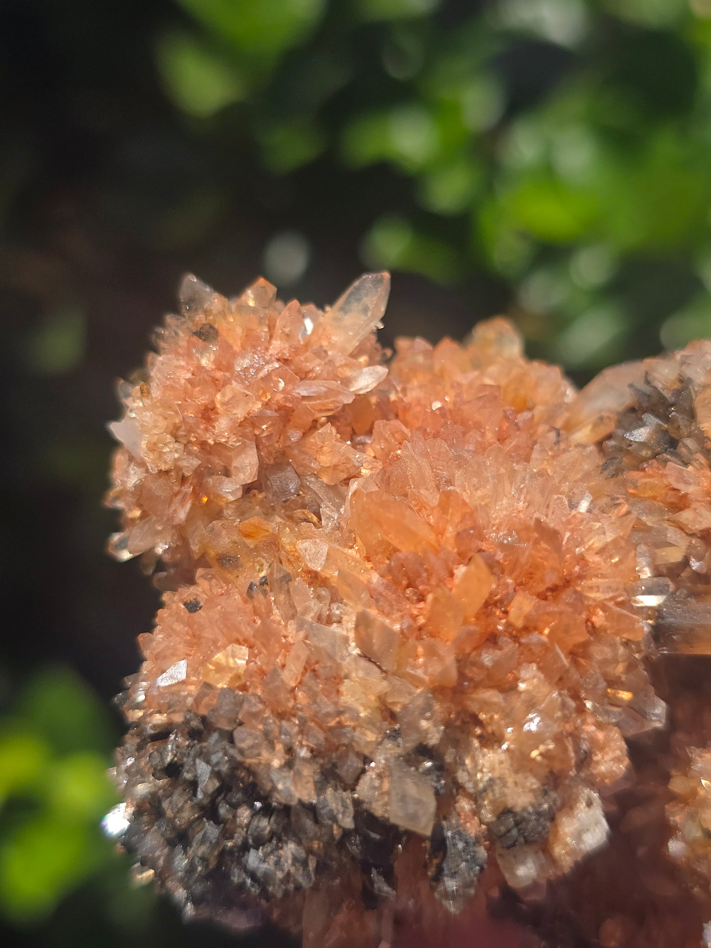 Creedite Durango Mexico