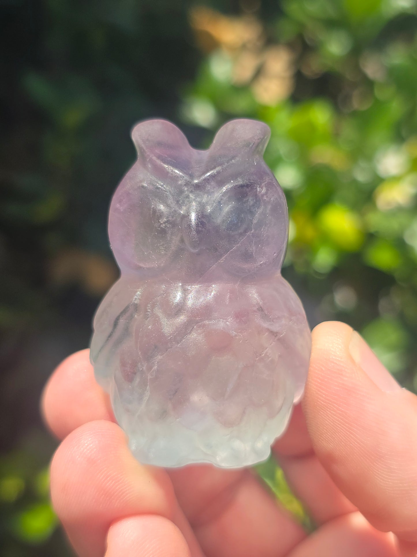 Fluorite Owl