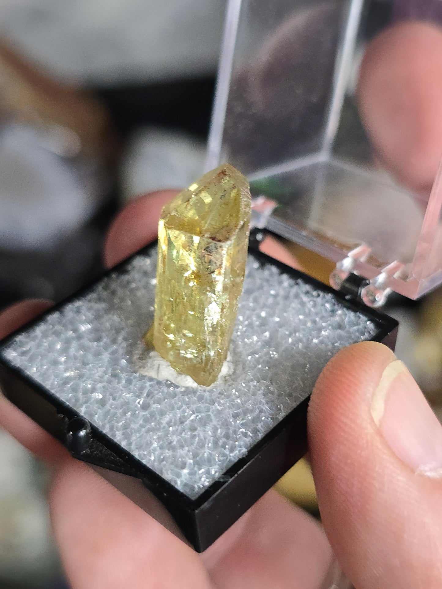 Golden Apatite Mexico