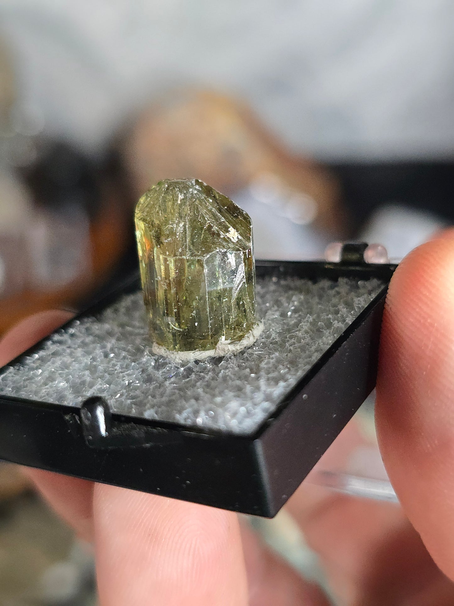Golden Apatite Mexico