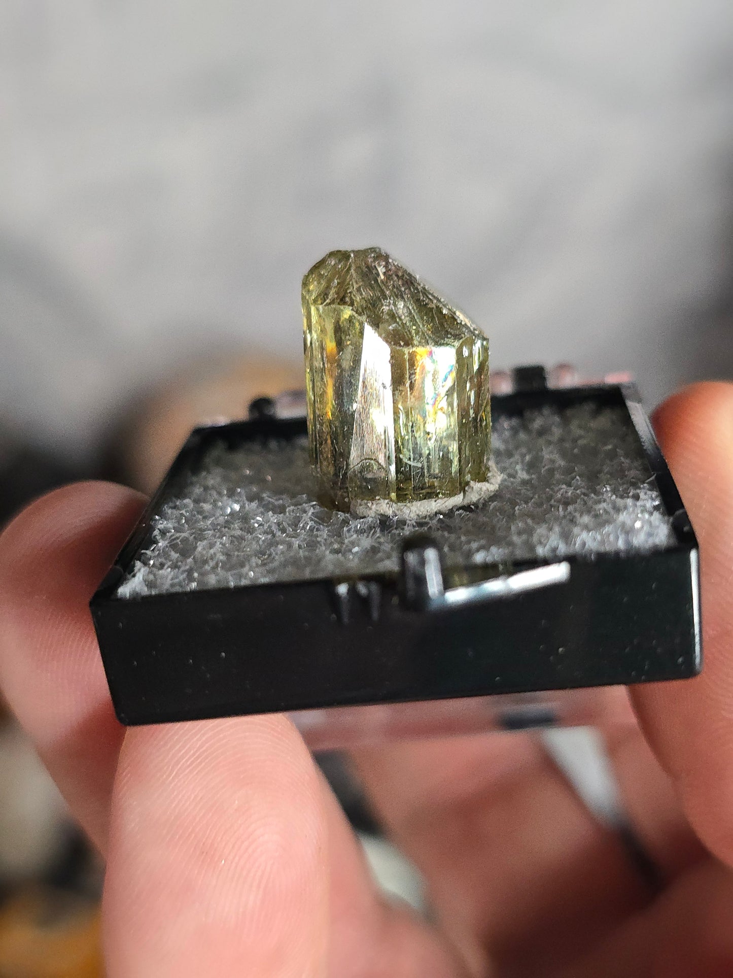 Golden Apatite Mexico