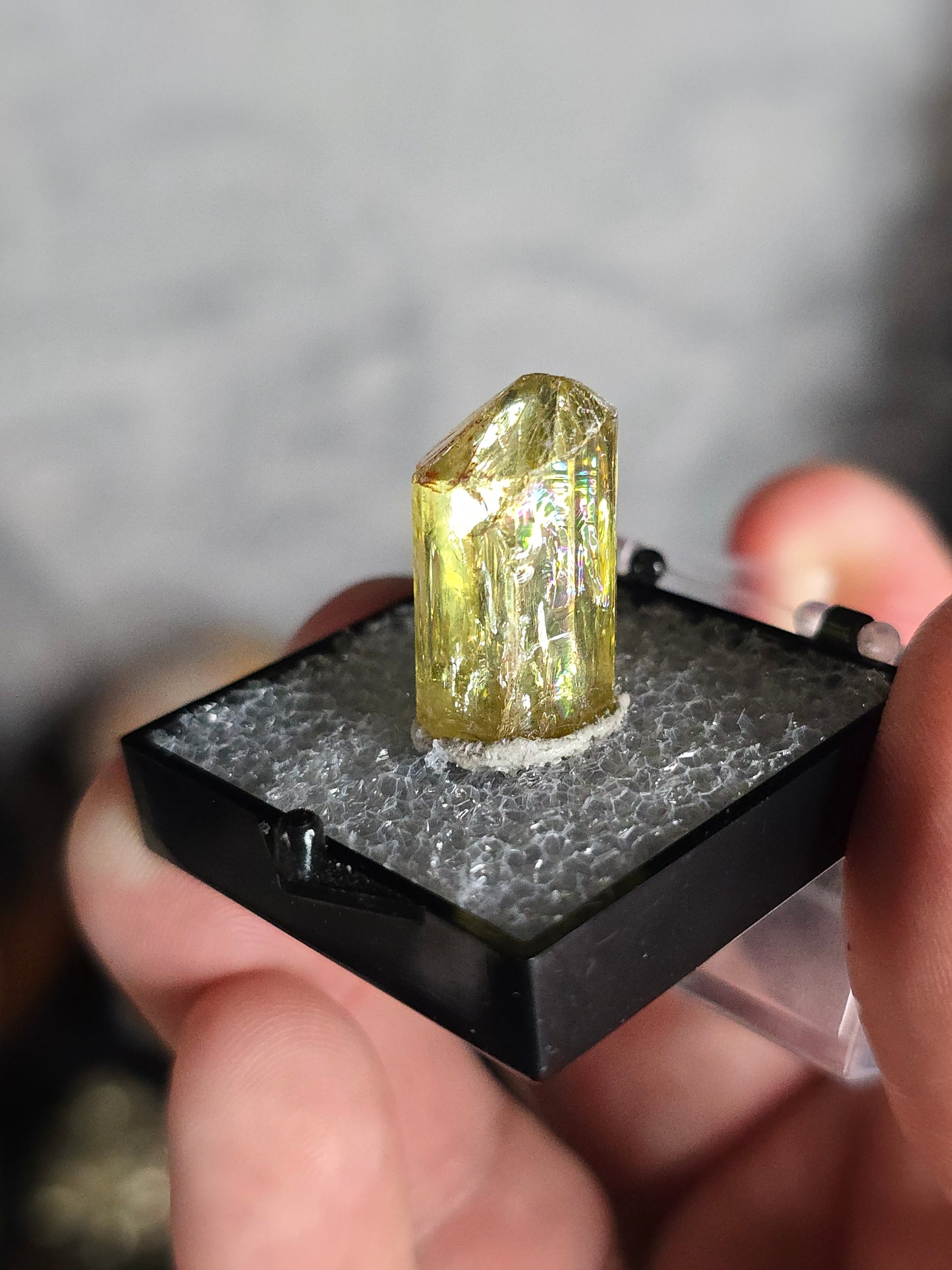 Golden Apatite Mexico