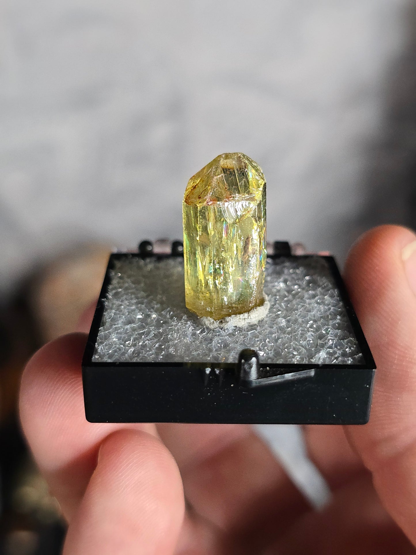 Golden Apatite Mexico