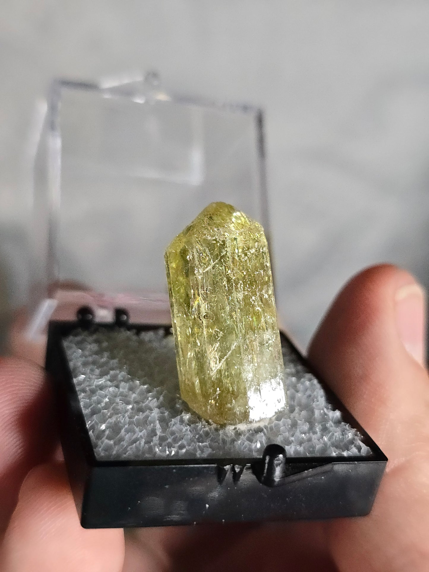 Golden Apatite Mexico