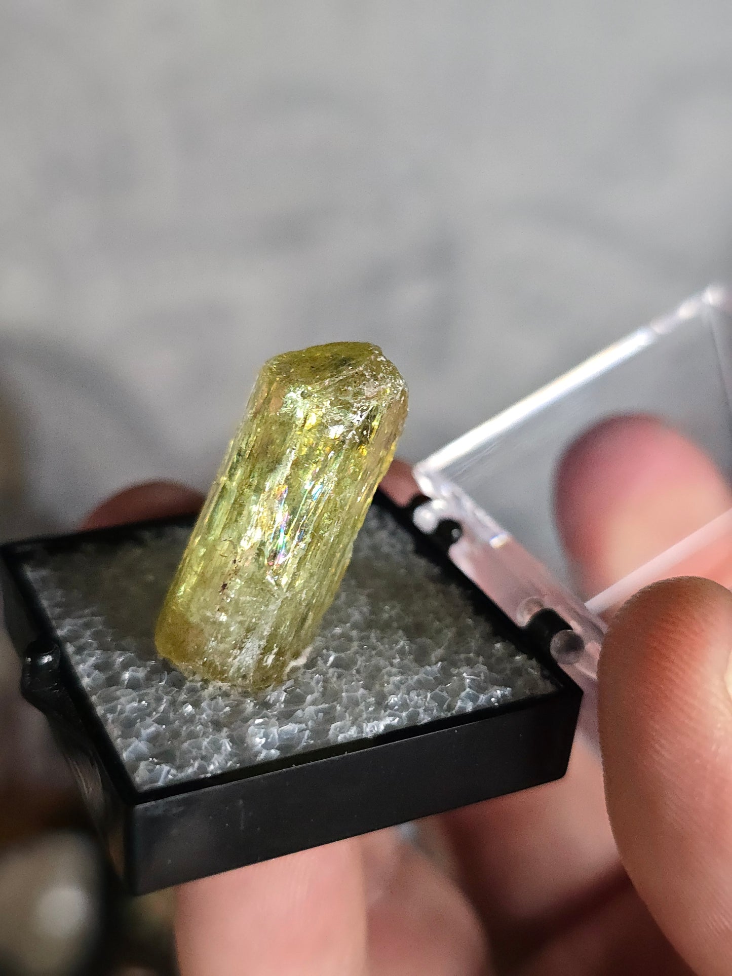 Golden Apatite Mexico