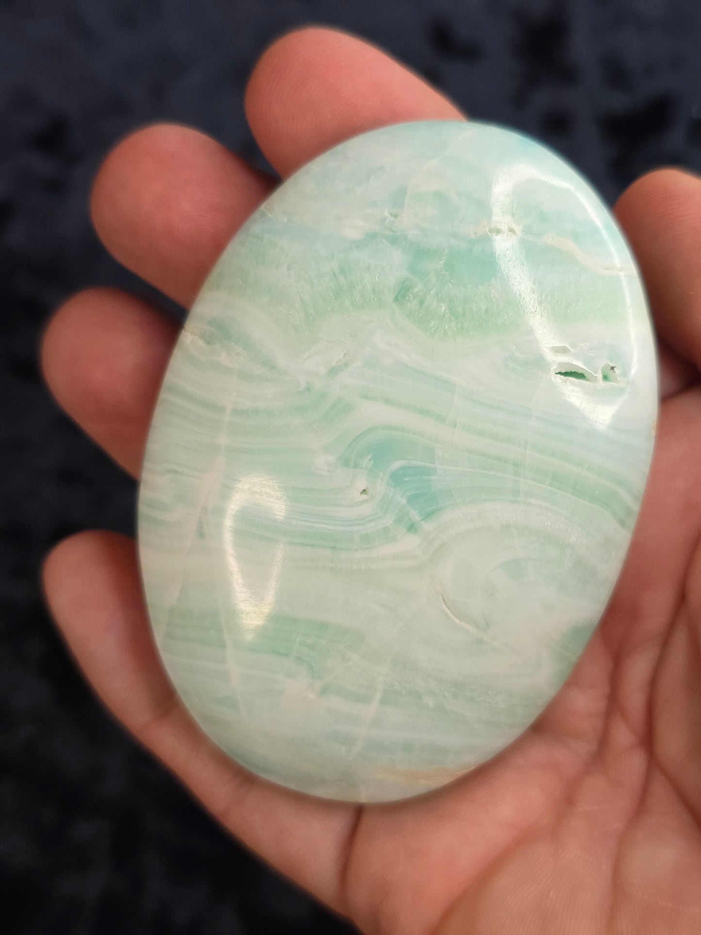 Carribean calcite palm