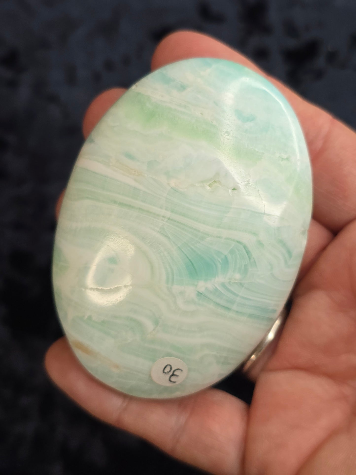 Carribean calcite palm