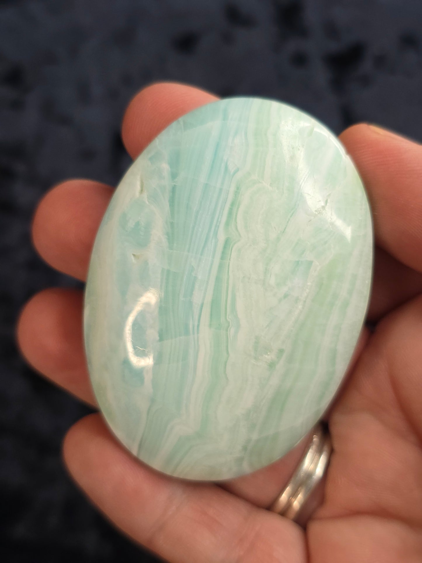 Carribean calcite palm