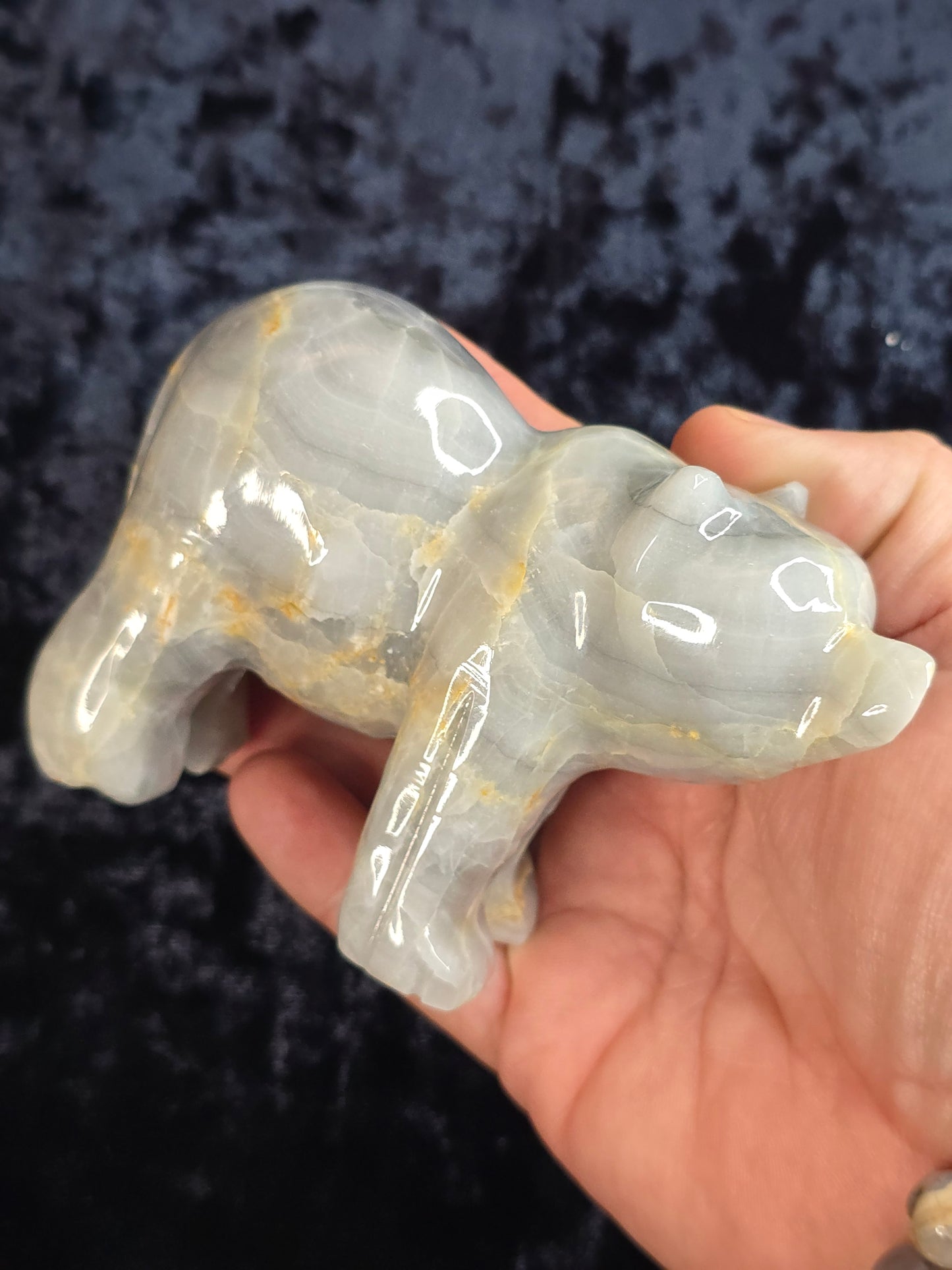Blue Onyx Bear Pakistan