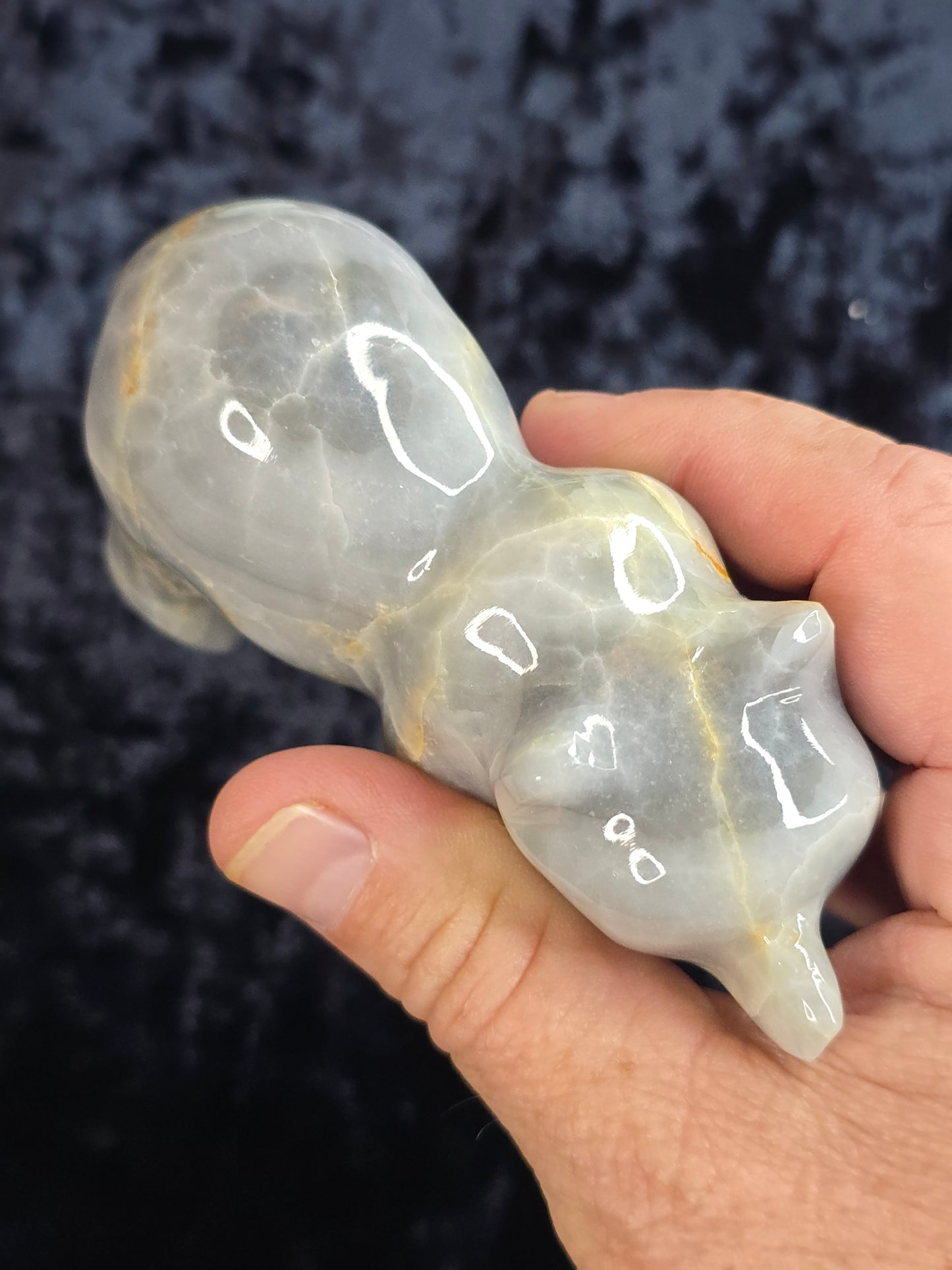 Blue Onyx Bear Pakistan
