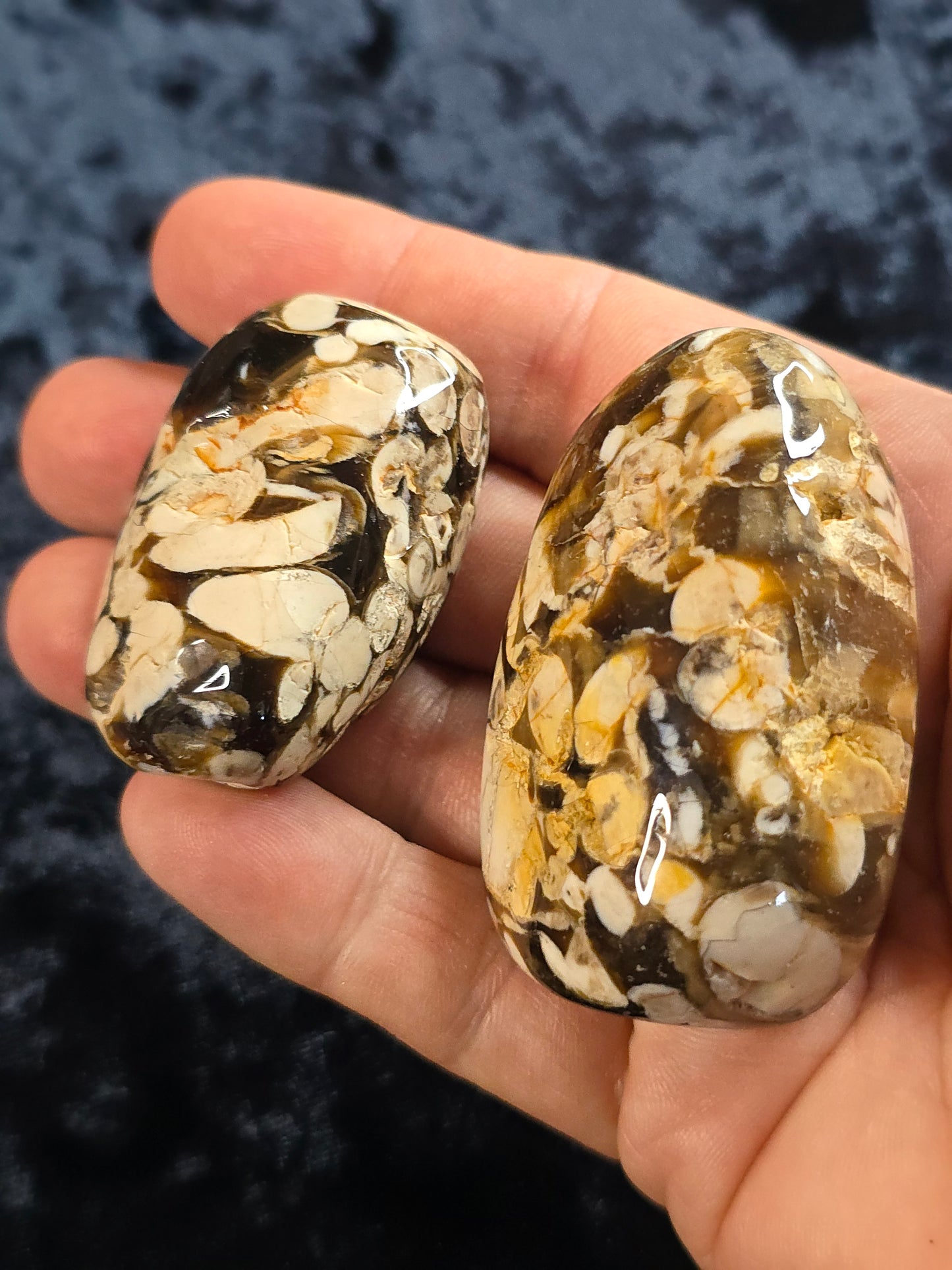 Peanut Wood Australia tumble