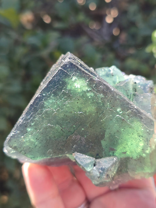 Fluorite from Nigeria