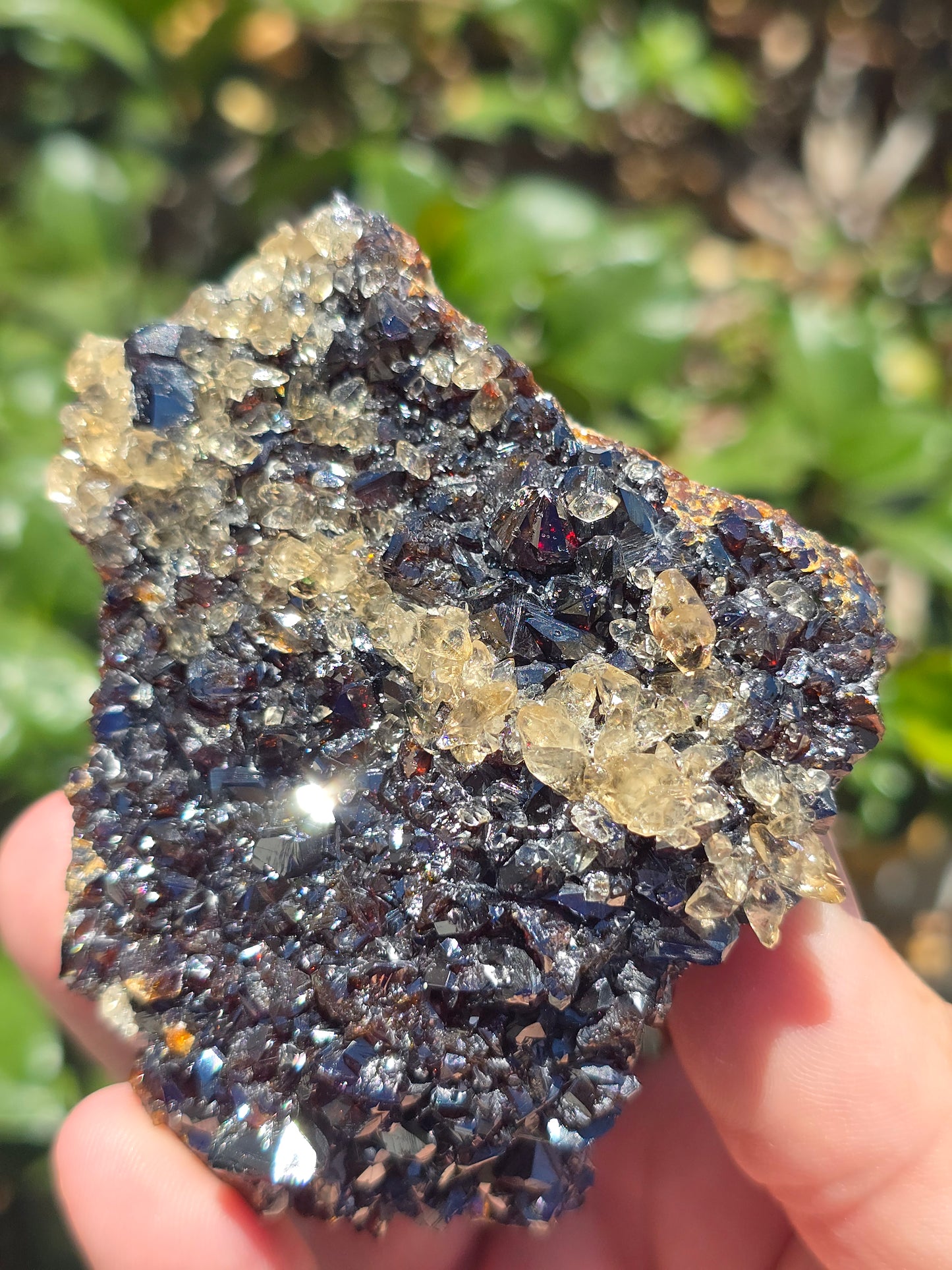 Sphalerite w calcite from Elmwood Mine Tennessee