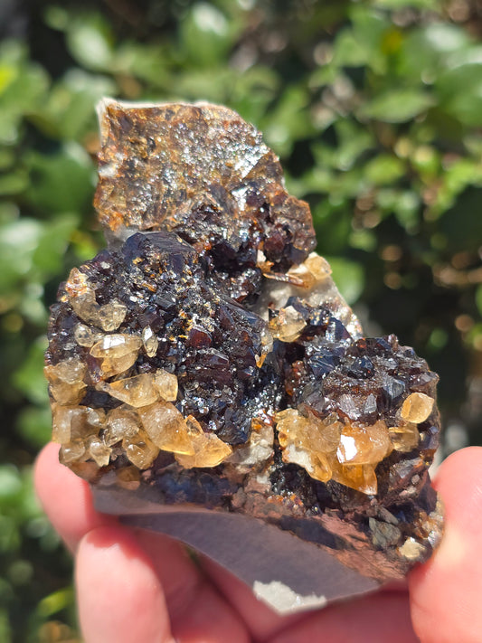 Sphalerite w calcite from Elmwood Mine Tennessee