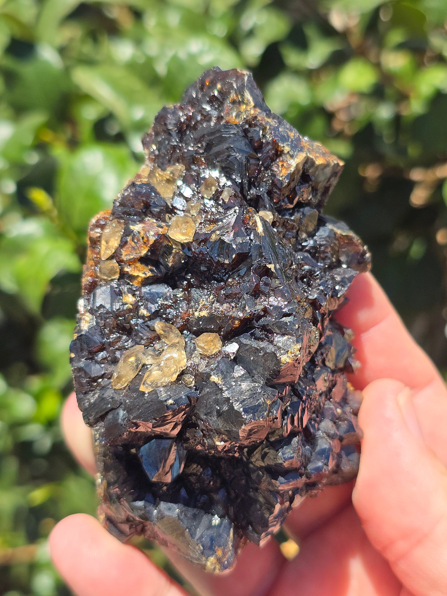 Sphalerite w calcite from Elmwood Mine Tennessee