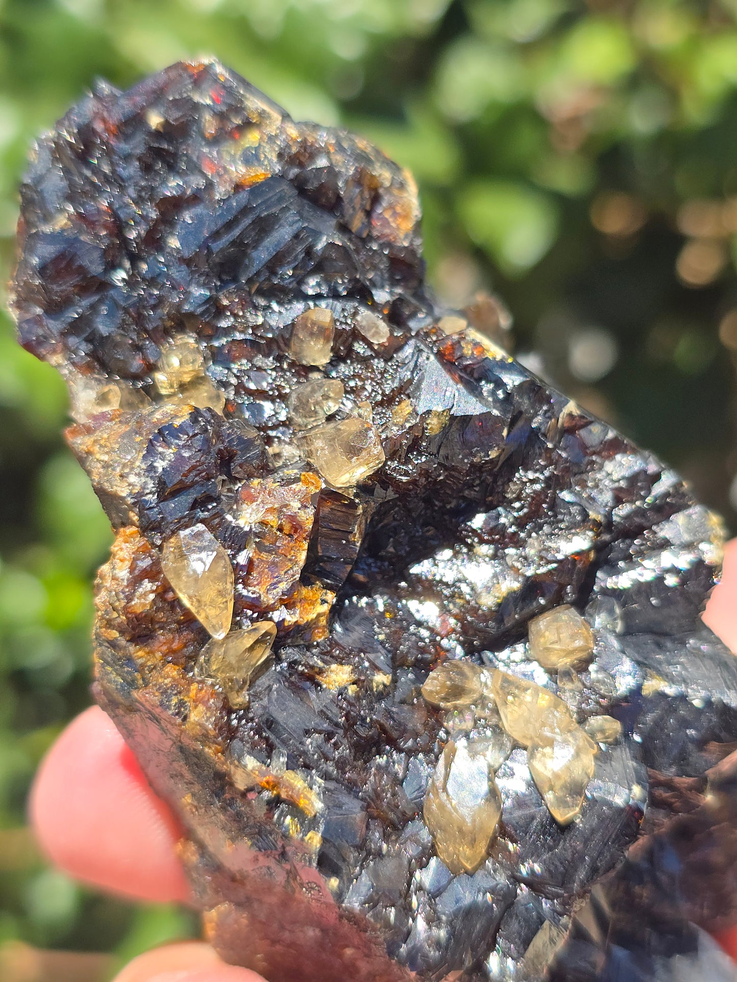 Sphalerite w calcite from Elmwood Mine Tennessee