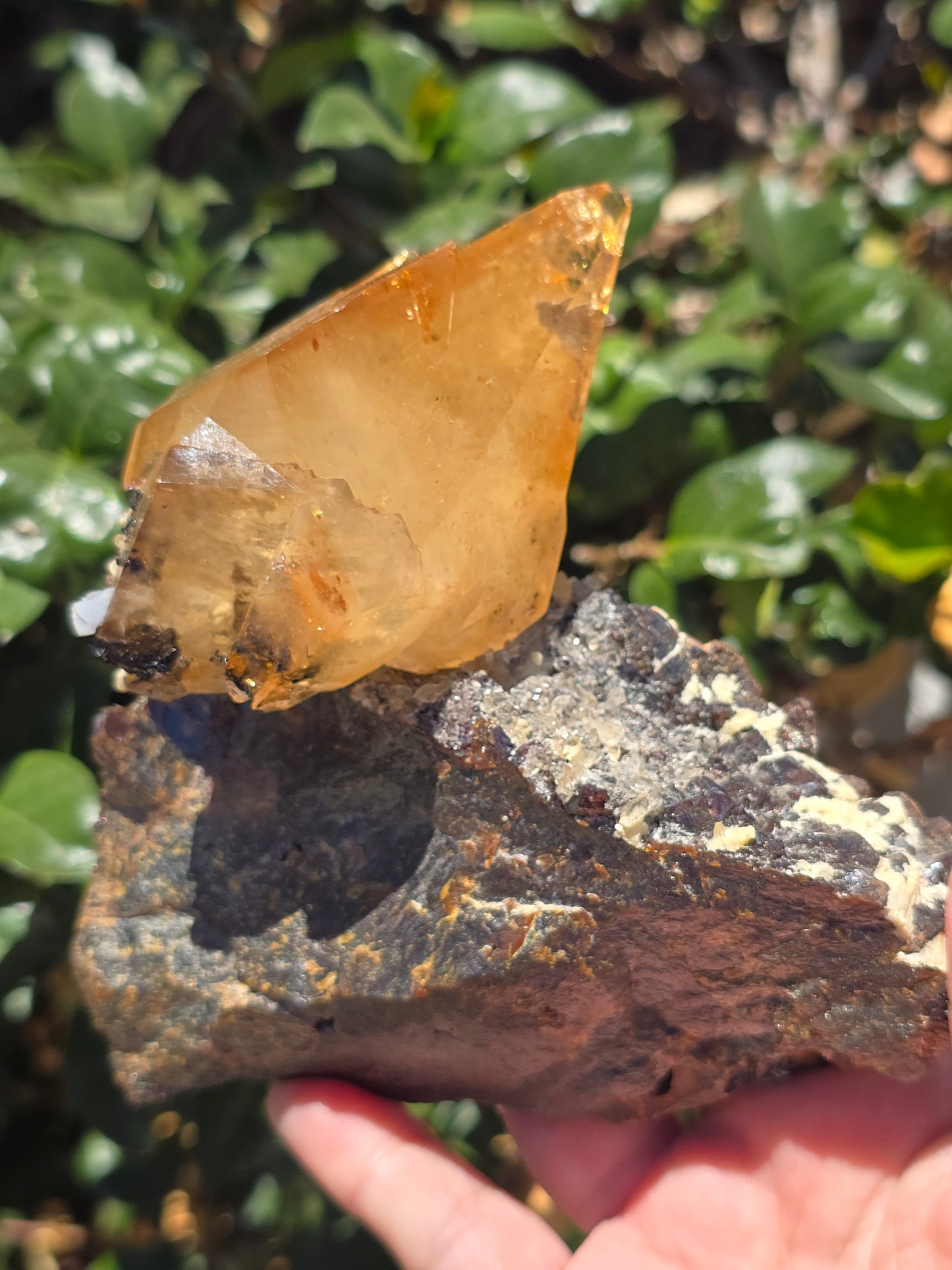 Sphalerite w Calcite from Elmwood Mine Tennessee