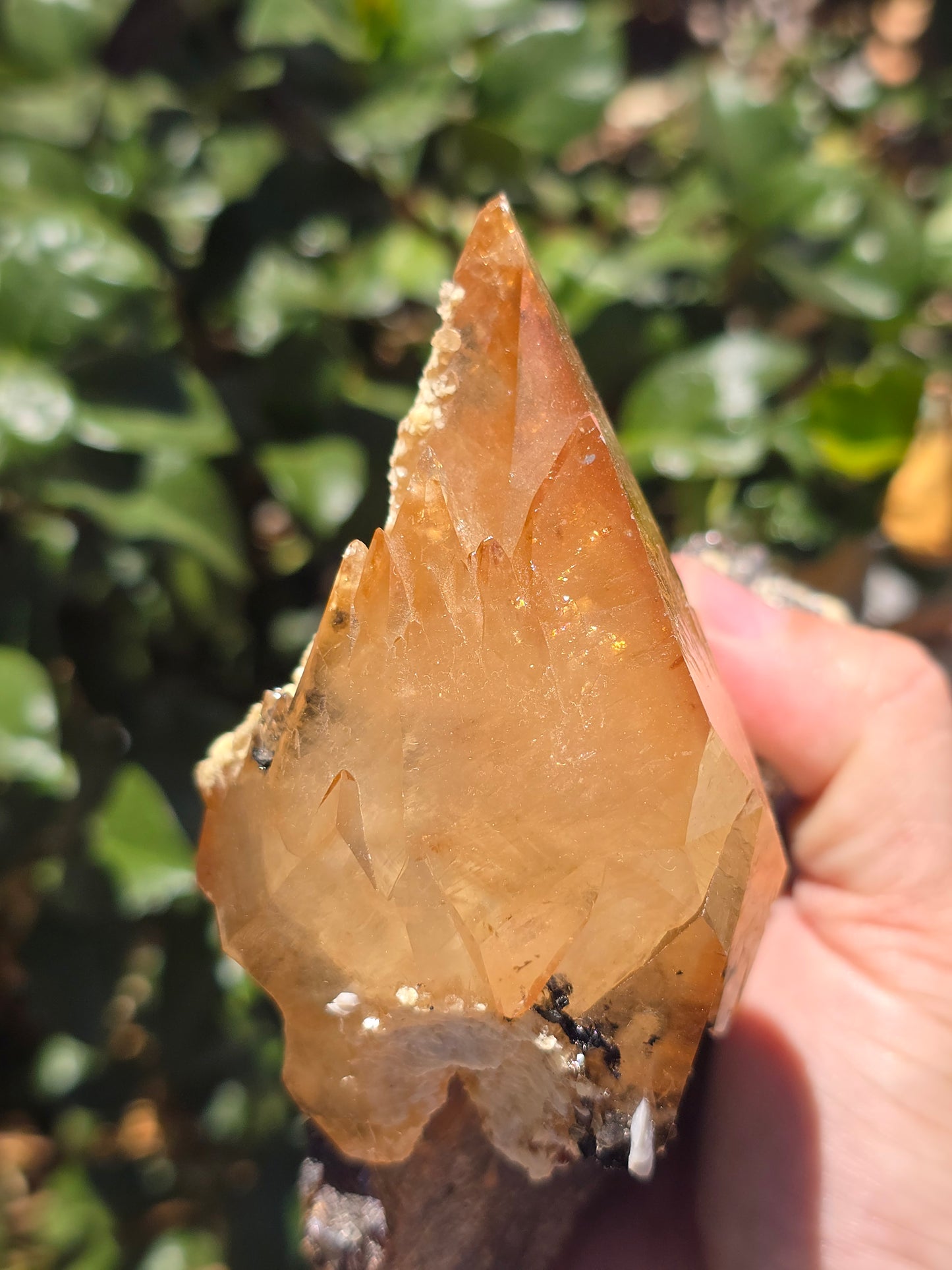 Sphalerite w Calcite from Elmwood Mine Tennessee